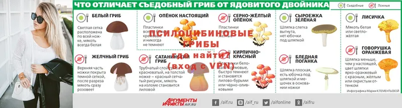 МЕГА вход  Георгиевск  Псилоцибиновые грибы MAGIC MUSHROOMS  купить наркотики цена 